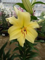 [5563 PO66 Eldoret No02.JPG]